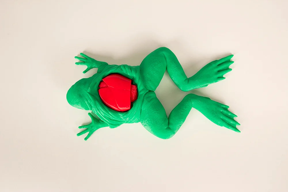 Frog Dissection Kit – Hands-On Biology & Anatomy Learning